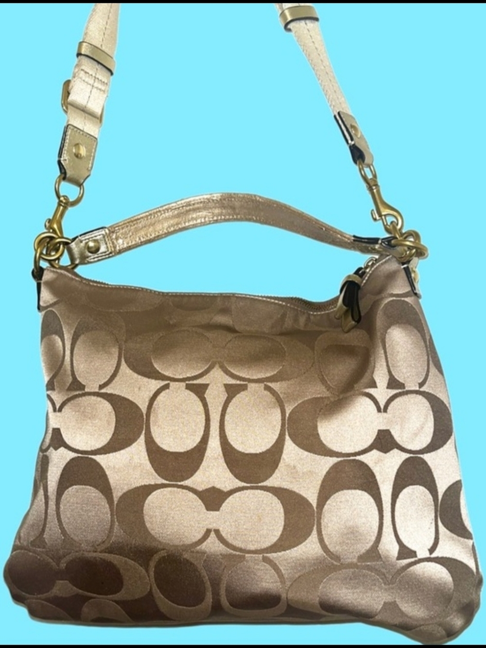 Coach Daisy POPPY C Hobo Bag - Picture 2 of 6
